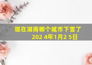 现在湖南哪个城市下雪了202 4年1月2 5日